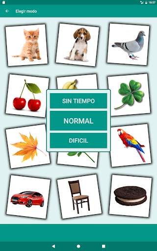 Juego de memoria Picture Match screenshot 18