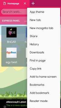 BNG browser screenshot 2