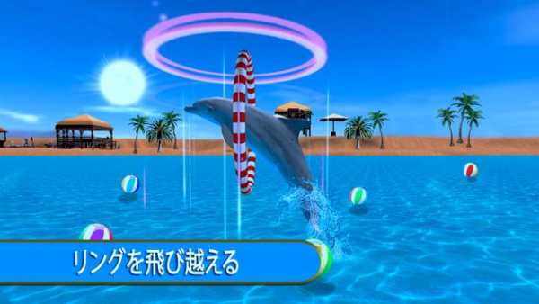 イルカ 楽しい ゲーム screenshot 3