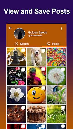 Story Saver For Instagram Insta Repost & Download screenshot 6