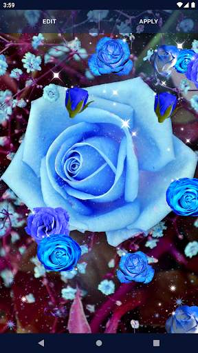 Blue Rose Live Wallpaper 3D 6 تصوير الشاشة