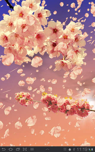 Sakura Free Live Wallpaper screenshot 6