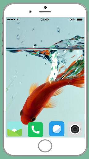 Fish Full HD Wallpaper 11 تصوير الشاشة