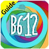 Free B612 Selfie Camera Guide 1.0