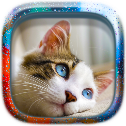 Free Picture Puzzle: Cats icon