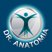 Dr. Anatomia आइकन