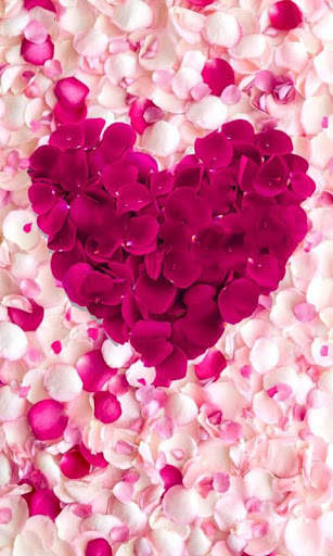 Rose Wallpapers screenshot 2