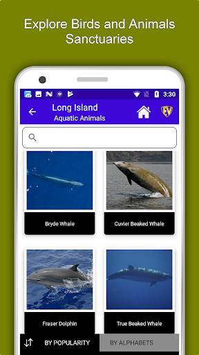 Long Island Travel & Explore, Offline Travel Guide screenshot 5