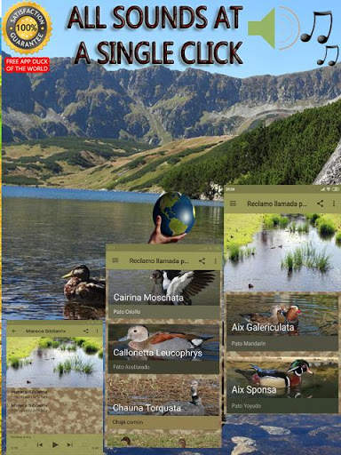 Claim called ducks: Sounds aquatic birds screenshot 4