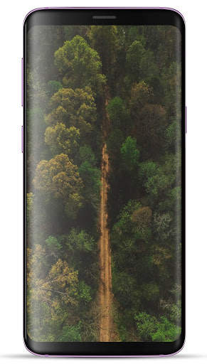 Forest Wallpaper HD screenshot 11