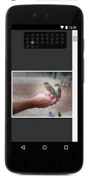 Birds Sounds स्क्रीनशॉट 5