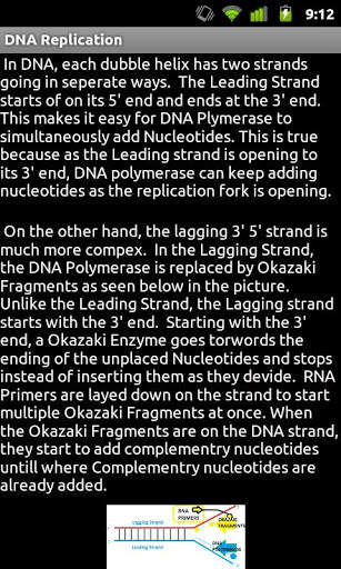 DNA Replication screenshot 1
