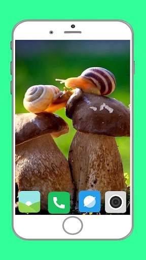 Snail Wallpaper Full HD screenshot 1