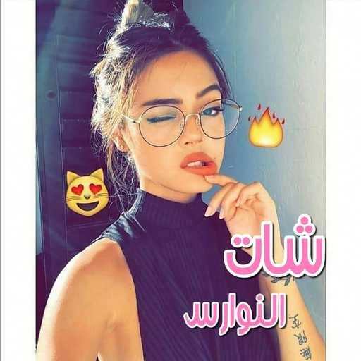 شات النوارس 2019 4.1