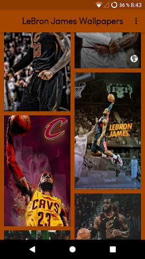LeBron James Wallpapers screenshot 4