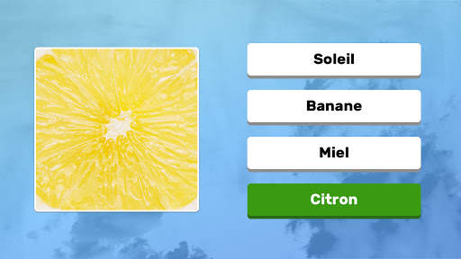 Zoom Quiz: Jeu de Gros Plans screenshot 8