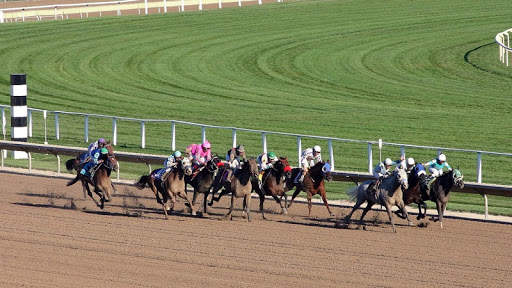 Horse Racing Wallpaper screenshot 3