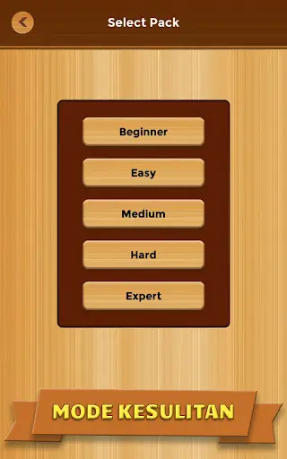 Unblock Puzzle Game screenshot 12