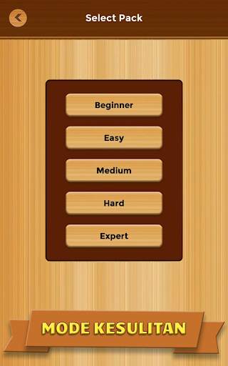 Unblock Puzzle Game screenshot 12