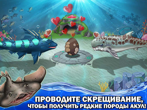 Shark World скриншот 4