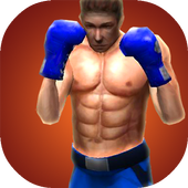 acciaio Boxer icon