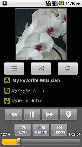AB Repeat Player screenshot 2