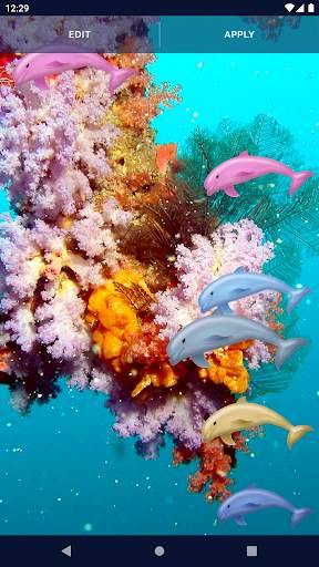 Dolphins Ocean Live Wallpaper screenshot 6