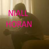 Niall Horan 1.0