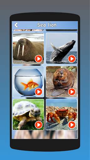 Animal Sounds, Animal Language, Animal Voice screenshot 5