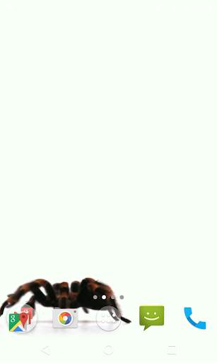 Spider Video Live Wallpaper screenshot 3