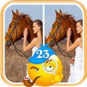 Find Differences icon