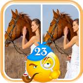 Find Differences logo
