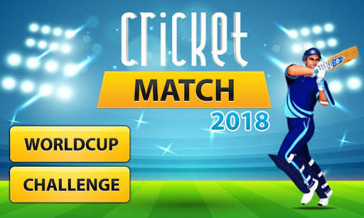 Cricket Match 2018 screenshot 1