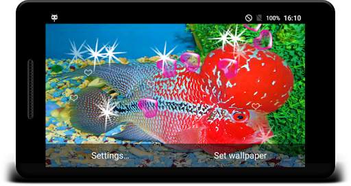 Flowerhorn Fish Live Wallpaper screenshot 5