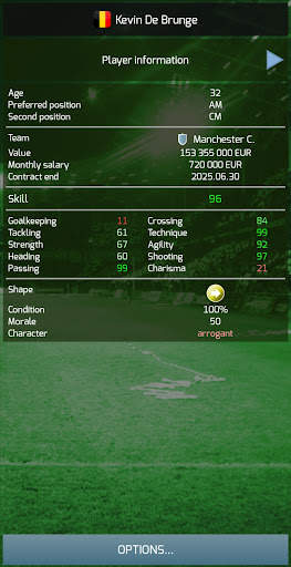 True Football 3 screenshot 4