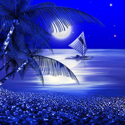 Night Beach Live Wallpaper 1.0.9