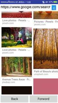Fast Browser screenshot 4