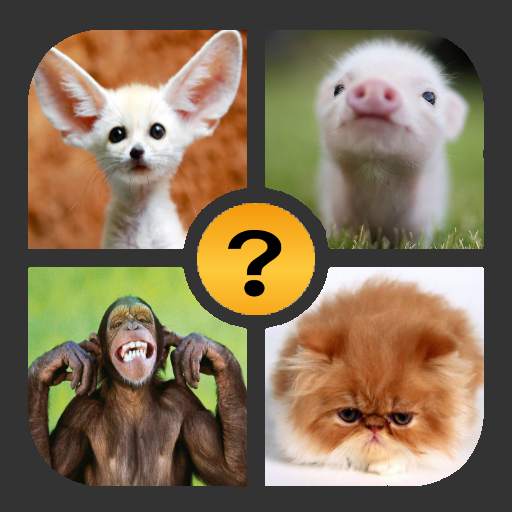 4 Pics 1 Word 2.0.3
