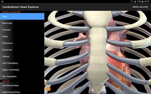 CardioSmart Heart Explorer screenshot 6
