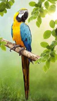 Birds LiveWallpapers screenshot 1