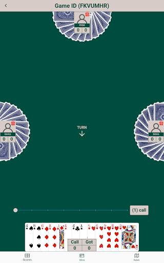 Call Break - Play with Friends screenshot 15
