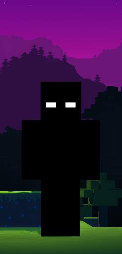 Null Skin for Minecraft screenshot 2