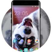 Theme for Nokia X2 Dual SIM Husky Wallpaper