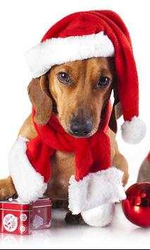 Christmas Dog live wallpaper screenshot 3