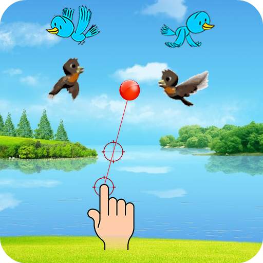 Catch The Birds 1.1
