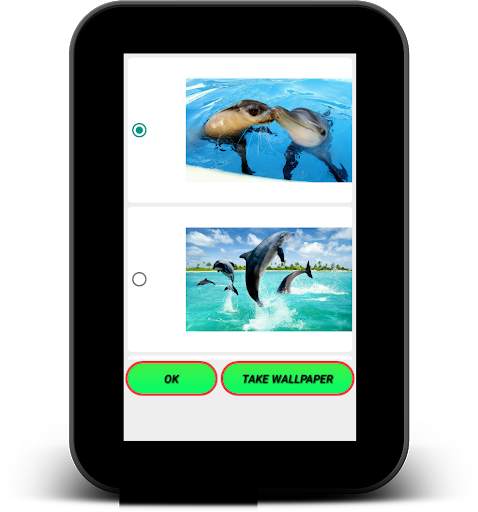 Dolphin Live Wallpaper - Screen Lock, Sensor, Auto screenshot 11