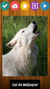 Wolf Wolves Puzzle Game screenshot 2