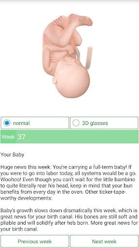 Pregnancy Due Date Calculator screenshot 6
