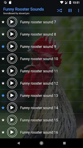 Funny Chicken Sounds ~ Sboard.pro screenshot 5