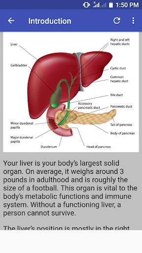 Hepatology & Diseases скриншот 1